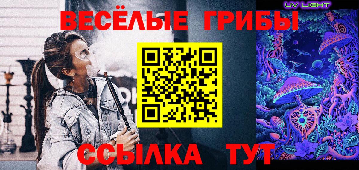 Хабаровск  Псилоцибиновые грибы GOLDEN TEACHER  Галлюциногенные грибы Cubensis  Вход с VPN 