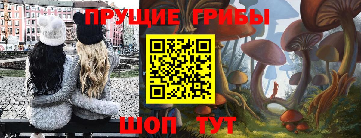 Псилоцибиновые грибы GOLDEN TEACHER Хабаровск